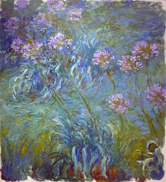 Claude Monet Agapanthus Germany oil painting art